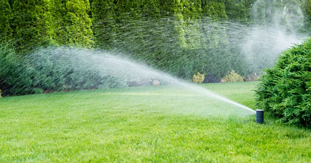 Sprinkler irrigation watering a green lawn