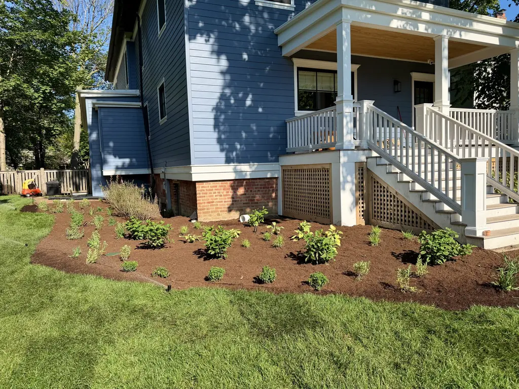 New foundation planting with shrubs and fresh mulch beside a porch